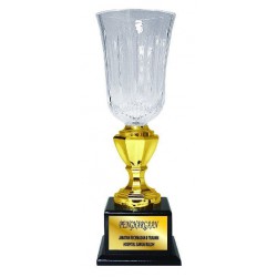Acrylic Trophy - AMT57 