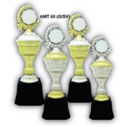 Acrylic Trophy - AMT65
