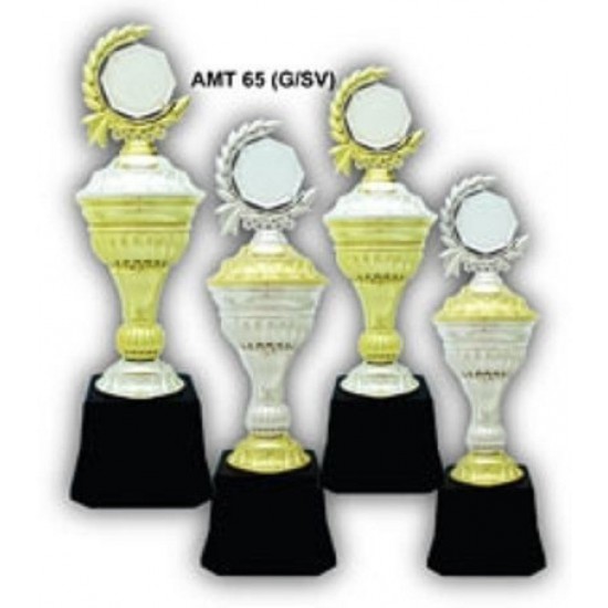 Acrylic Trophy - AMT65