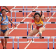 Ezy Pro Training Hurdle ( Height Adjustable) EZy Ezy Pro Training Hurdle ( Height Adjustable) EZy