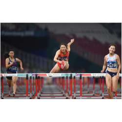 Ezy Pro Competition Hurdle(Height Adjustable) EZy