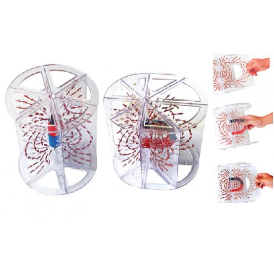 Science - Magnetic Field  (Set of 2) ITSC011 DQ