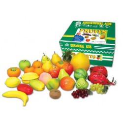 Model of Fruits - PMSC0054 MZ
