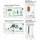 Life Cycle of Edible Plants 4types - SC0150 MZ Life Cycle of Edible Plants 4types - SC0150 MZ