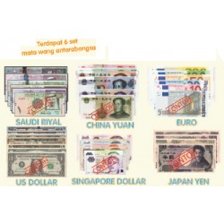 Southeast ASEAN Currency Set 455pcs - MT090 PZ