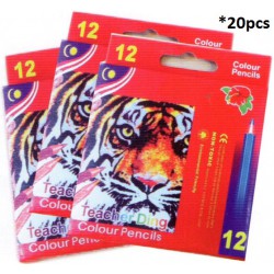 Colour Pencil Short 12's 20pcs - PS025 PZ