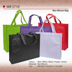 Aristez Non Woven Bag WB5710