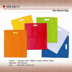 Aristez Non Woven Bag WB6815