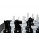 Chess Computer - DGT Centaur CQ Chess Computer - DGT Centaur CQ