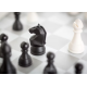 Electronic Chess Board Set - DGT Pegasus CQ Electronic Chess Board Set - DGT Pegasus CQ