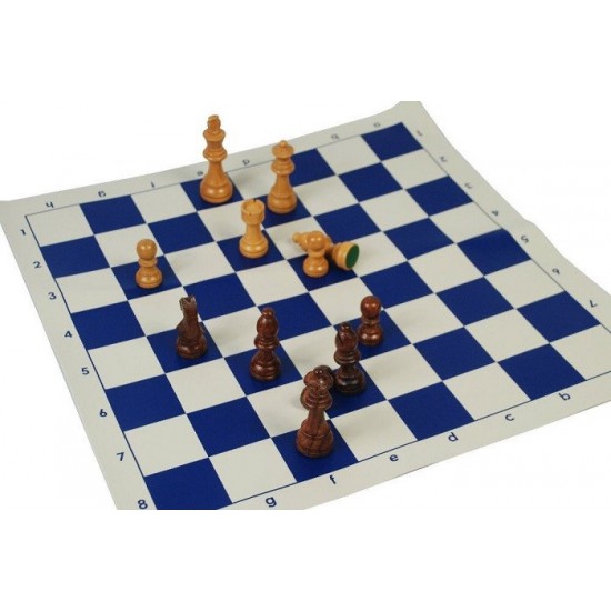 Chess Set - Wooden +Case +Rubber Mat CQ
