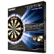 Dartboard - Winmau Diamond Plus CQ