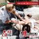 First Aid Kit Set - PM-02-ML Large (Metal Box) FZ First Aid Kit Set - PM-02-ML Large (Metal Box) FZ