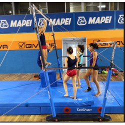 Uneven Bar - Taishan TQ
