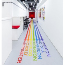 School Murals - Metcol 1001
