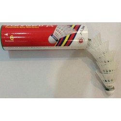 Badminton Shuttlecock Plastic - Ashaway N700 White (6pcs)