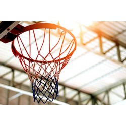 Basketball Net - Allstar GTO (1 pair) (Medium Duty) WQ