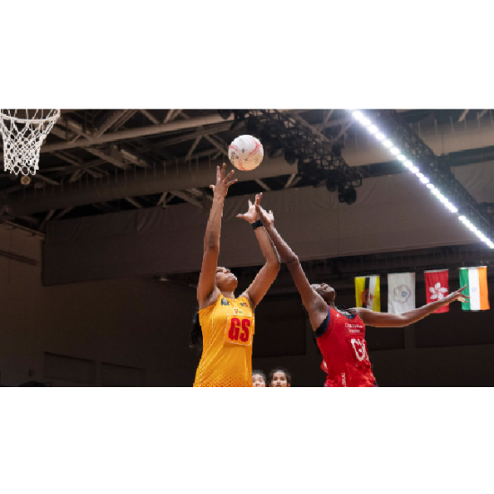 Netball Size 5 – Gilbert Supporter Netball Puzzle KQ Netball Size 5 – Gilbert Supporter Netball Puzzle KQ
