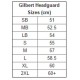 Rugby Headguard - Gilbert Evolution Black CQ