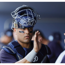 Catchers Face Mask - Diamond DFM25 CQ