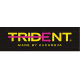 Softball Catchers Helmet - Trident Milestone KQ