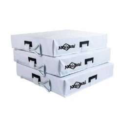 Softball Slide Bases - Naigai Foam 3" (Set of 3) CQ