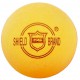 Table Tennis Ball - Shield 101 (6balls) CQ