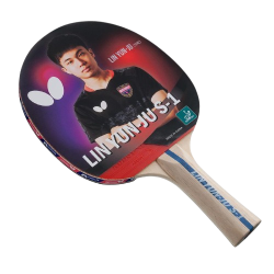TT Bat - Butterfly Lin Yun Ju S1 QE CQ
