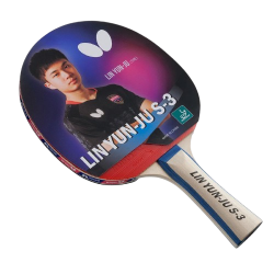 TT Bat - Butterfly Lin Yun Ju S3 QE CQ