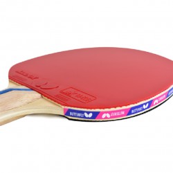 TT Bat - Butterfly Lin Yun S1 QE