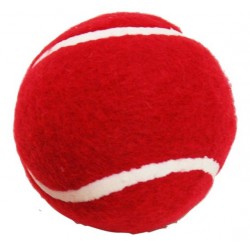 Cricket Ball - Slazenger Tennis Ball CQ