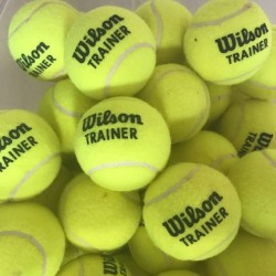Tennis Ball - Wilson Training 5doz/bag YZ