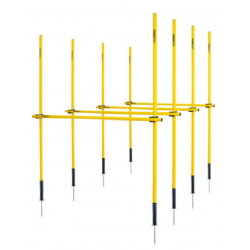 Outdoor Coaching Kit - Trident Master KQ