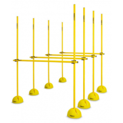  Indoor Coaching Kit - Trident Milestone KQ