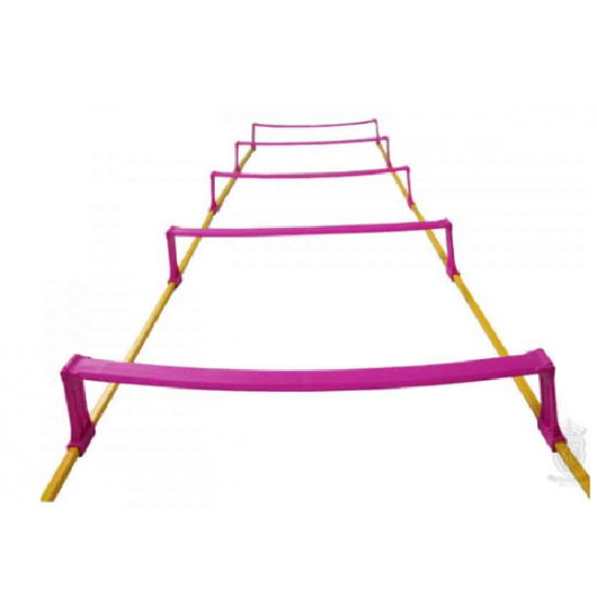 Elavated Speed Ladder-Trident 5M KQ Elavated Speed Ladder-Trident 5M KQ