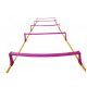 Elavated Speed Ladder-Trident 5M KQ Elavated Speed Ladder-Trident 5M KQ