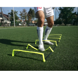 Elavated Speed Ladder-Trident 6M KQ