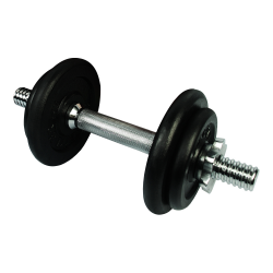 Dumbbell Set - Kettler Cast Iron (10KG) CQ
