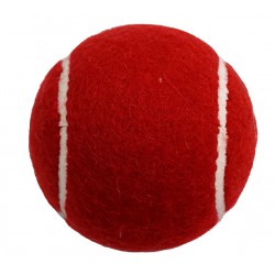 Cricket Ball - Flash 'Good Luck' CQ