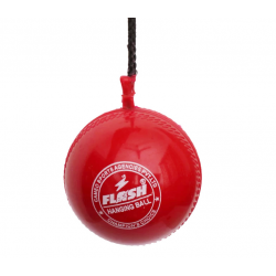 Cricket Ball - Flash Hanging CQ