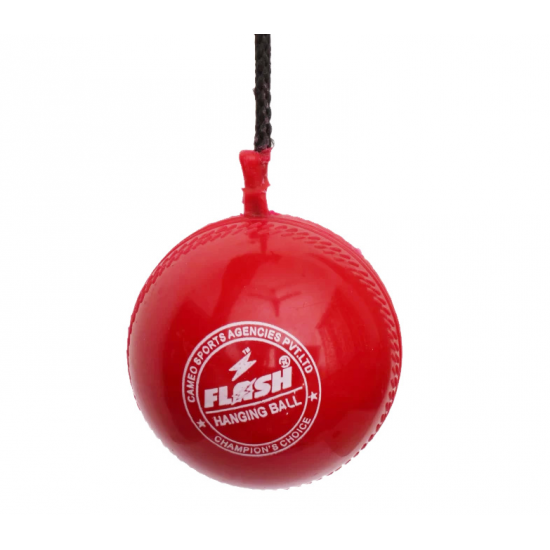 Cricket Ball - Flash Hanging CQ Cricket Ball - Flash Hanging CQ