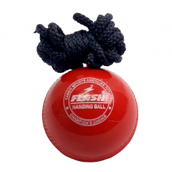 Cricket Ball - Flash Hanging CQ