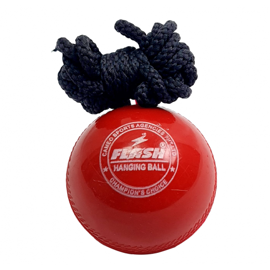 Cricket Ball - Flash Hanging CQ Cricket Ball - Flash Hanging CQ