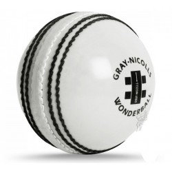 Cricket Ball - Gray Nicolls Wonderball Junior (22cm) KQ