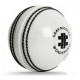 Cricket Ball - Gray Nicolls Wonderball (22cm) KQ