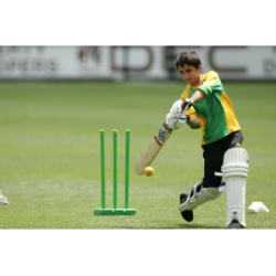 Cricket Spring Return Stumps – Grays 28″ (Set of 3) KQ