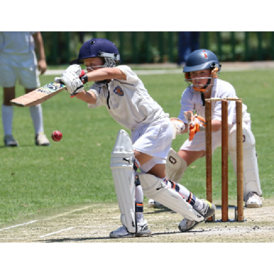 Cricket Spring Return Stumps – Grays 28″ (Set of 3) KQ Cricket Spring Return Stumps – Grays 28″ (Set of 3) KQ