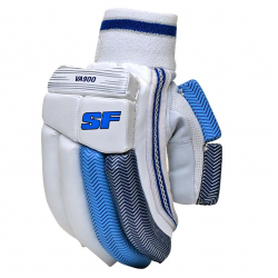 Cricket Batting Glove - Stanford VA900 (Men) CQ