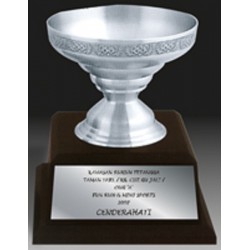 Pewter Award Trophy - APA7202