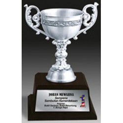 Pewter Award Trophy - APA7208